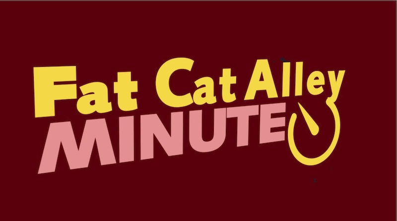 A FatCatAlley Minute